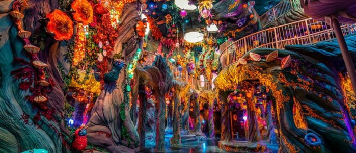 Meow Wolf